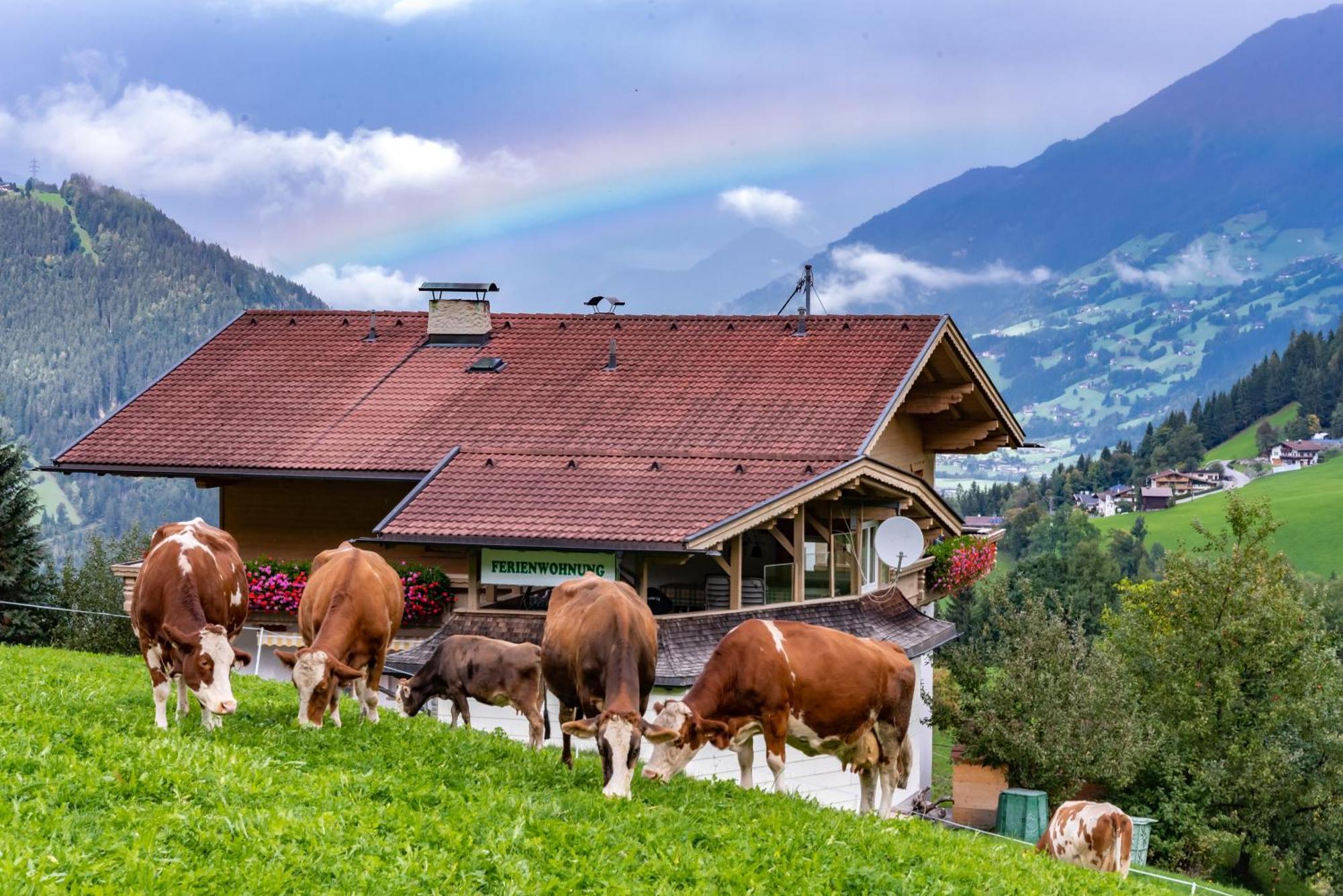 Ferienwohnung Ausblick Zillertal Hainzenberg Extérieur photo