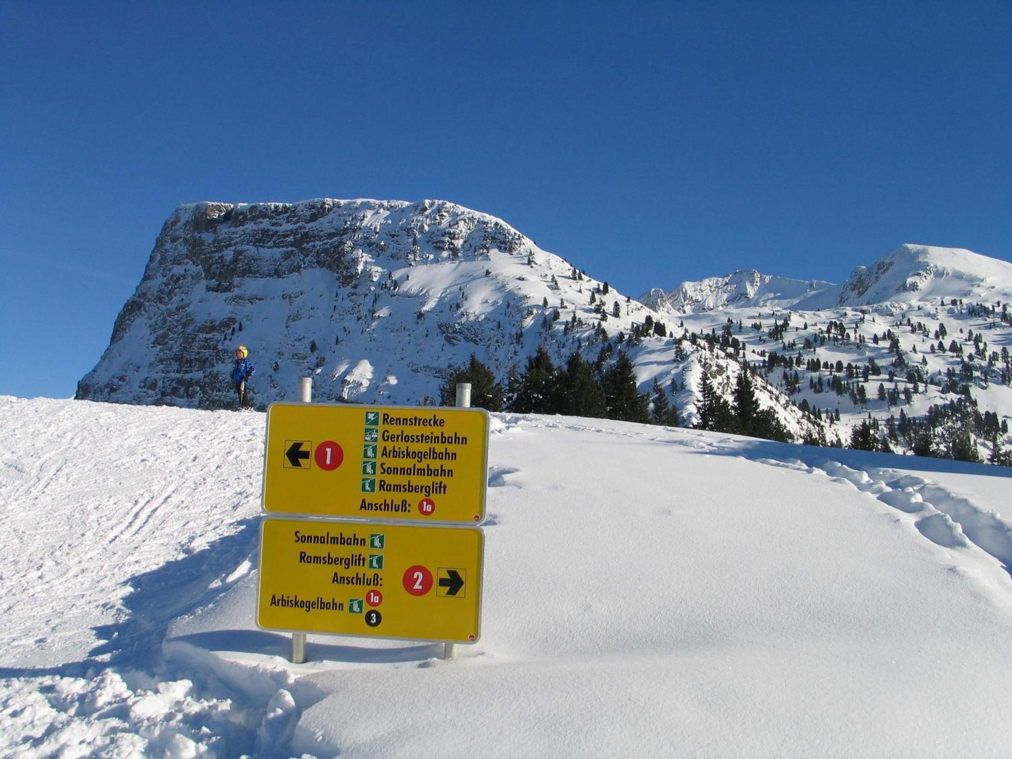 Ferienwohnung Ausblick Zillertal Hainzenberg Extérieur photo